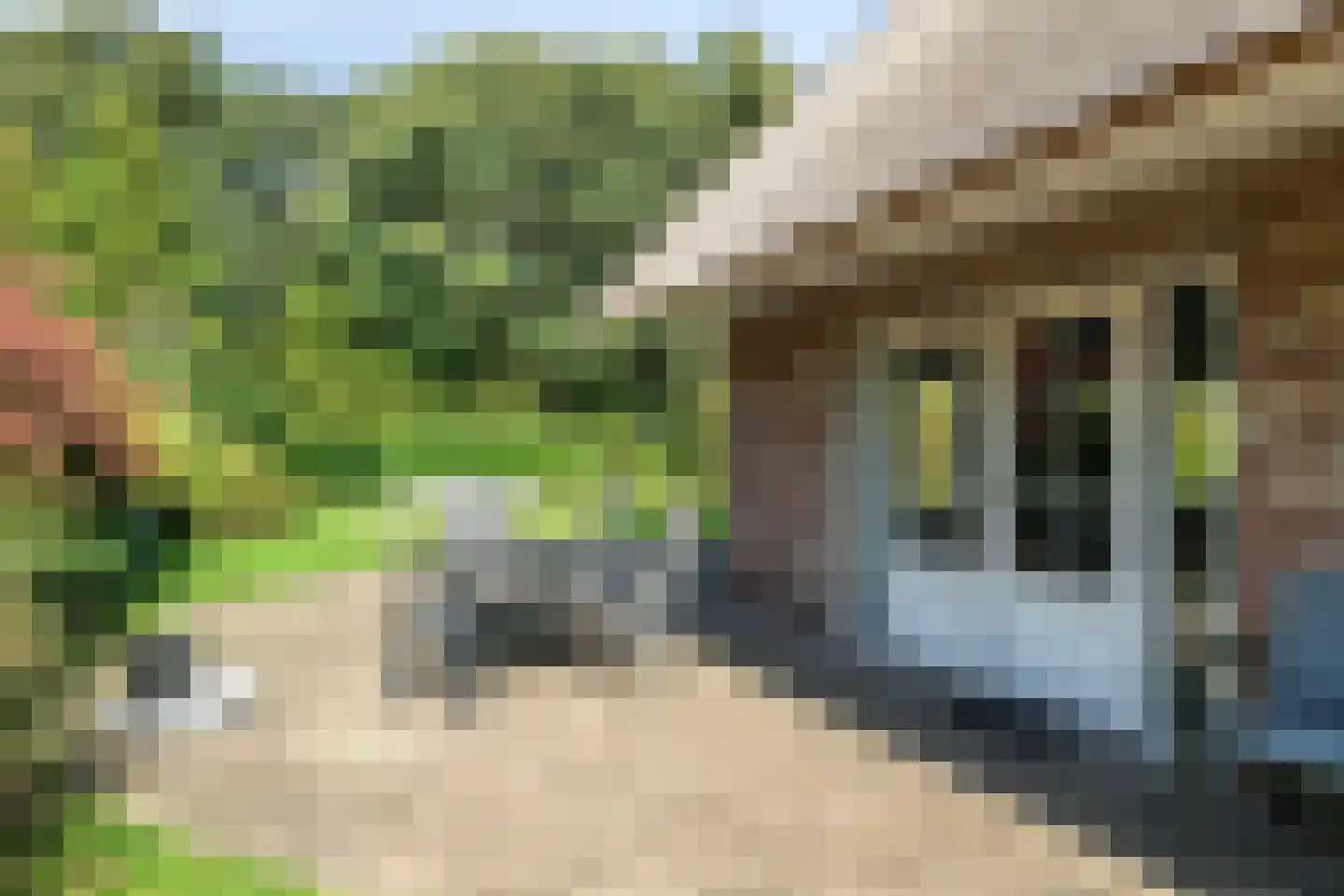 Binnenweg 12 79 Paasloo thumbnail 33