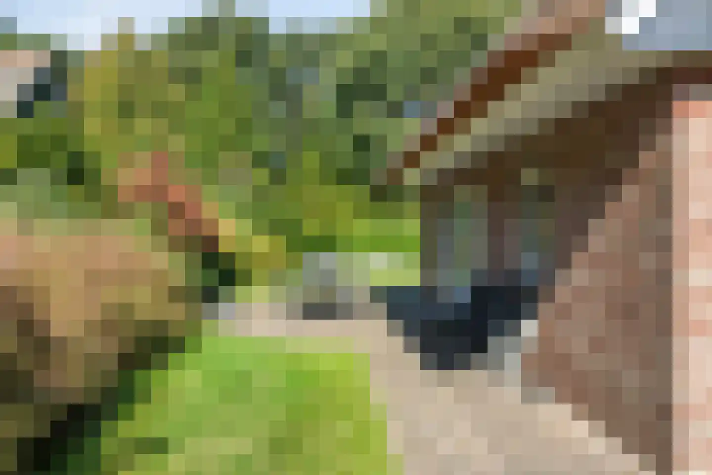 Binnenweg 12 79 Paasloo thumbnail 34