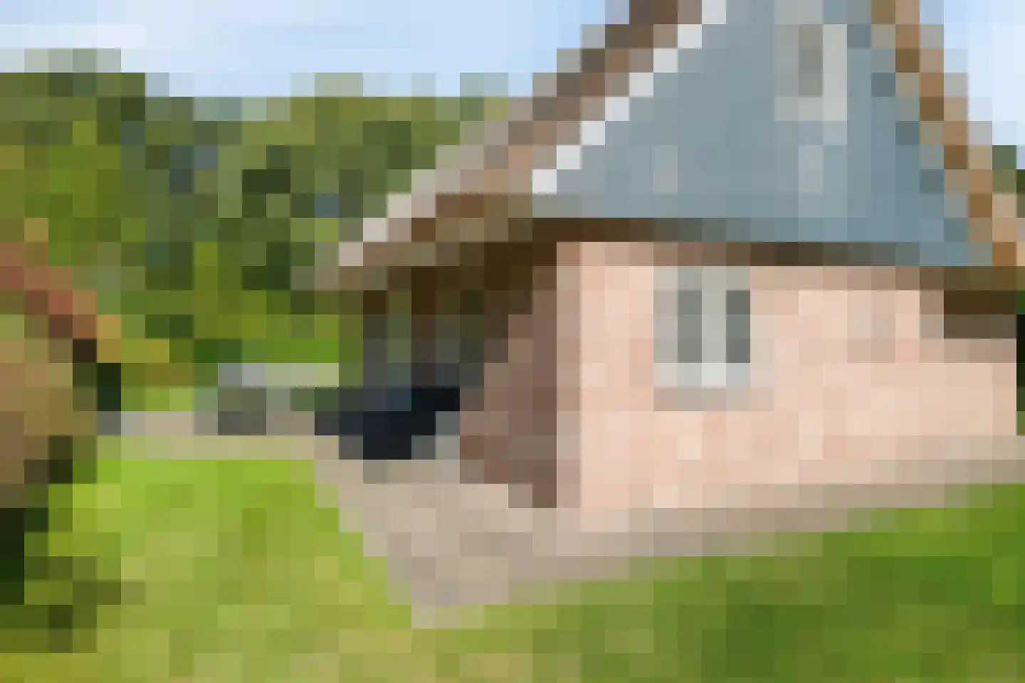 Binnenweg 12 79 Paasloo thumbnail 35