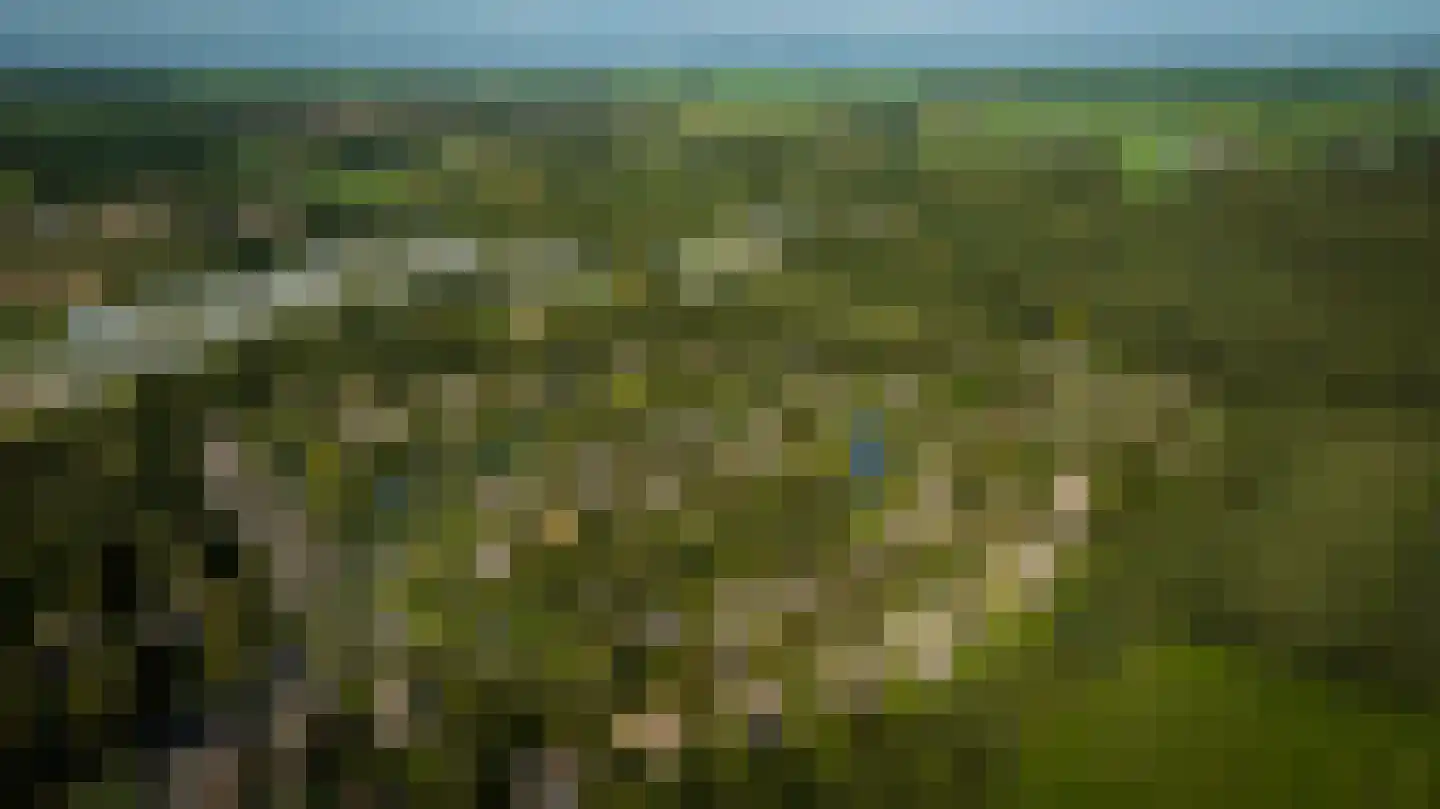 Binnenweg 12 79 Paasloo thumbnail 39