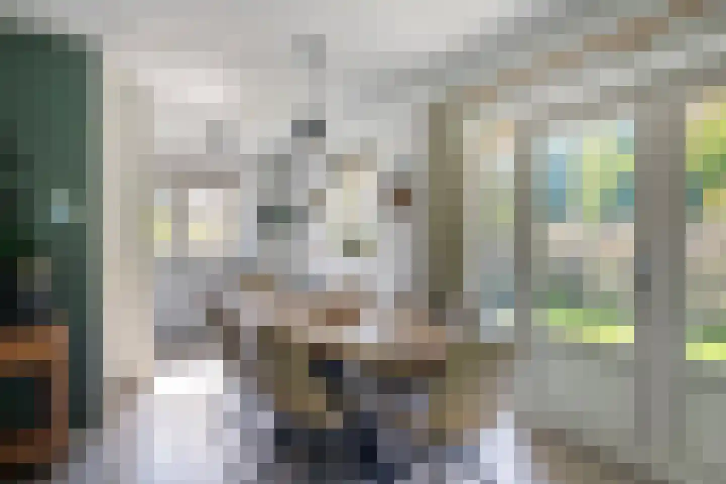 Binnenweg 12 79 Paasloo thumbnail 5