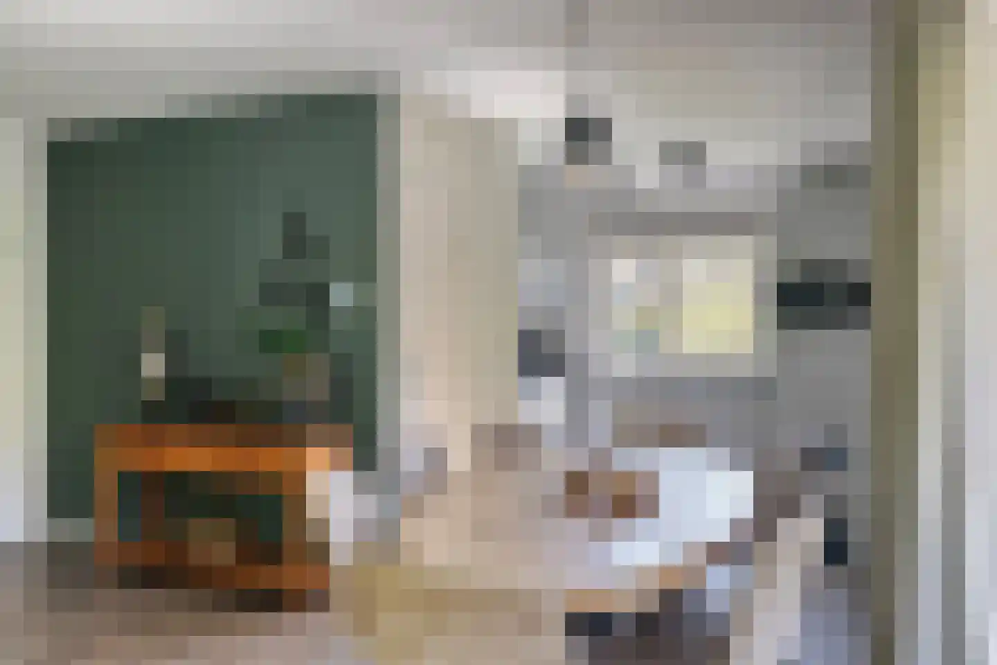 Binnenweg 12 79 Paasloo thumbnail 6