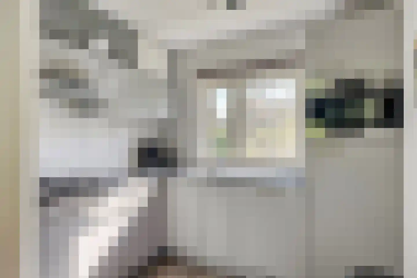 Binnenweg 12 79 Paasloo thumbnail 7