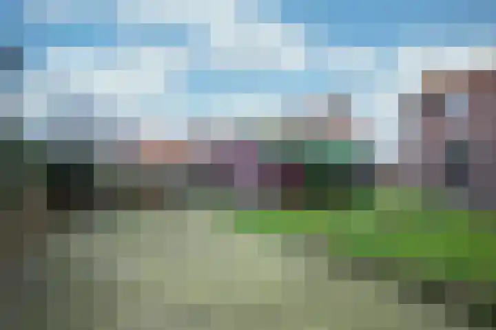 Binnenweg 12 Eesveen thumbnail 18