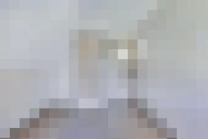 Binnenweg 12 Nijeholtpade thumbnail 29