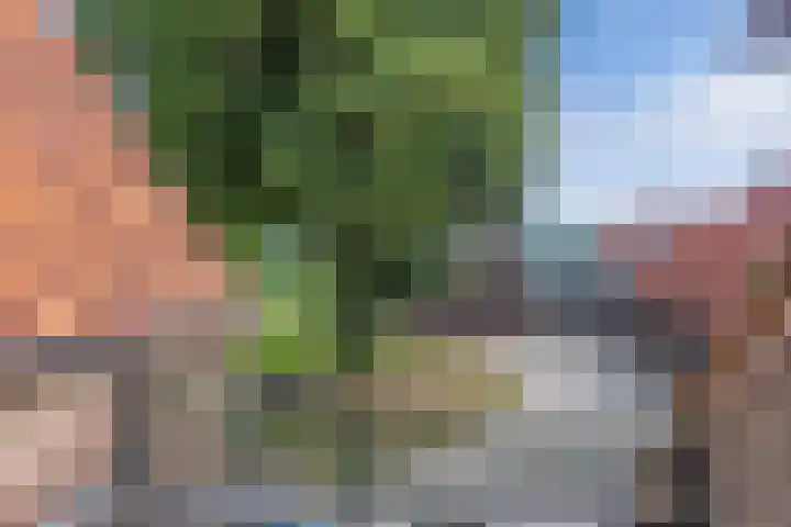Binnenweg 12 Nijeholtpade thumbnail 37