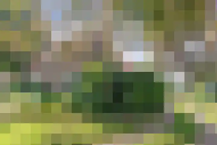 Binnenweg 12 Nijeholtpade thumbnail 39