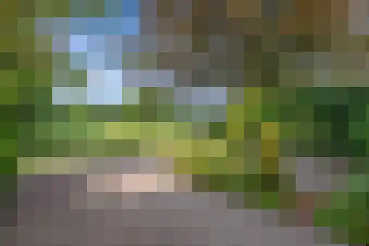Binnenweg 12 Nijeholtpade thumbnail 41