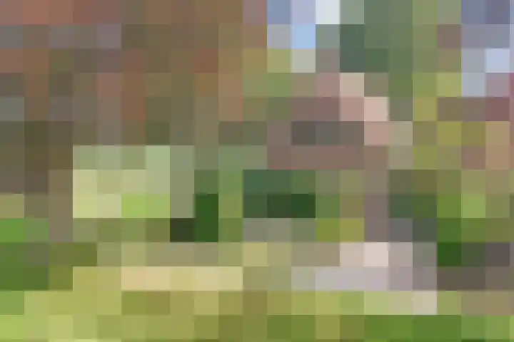 Binnenweg 12 Nijeholtpade thumbnail 45
