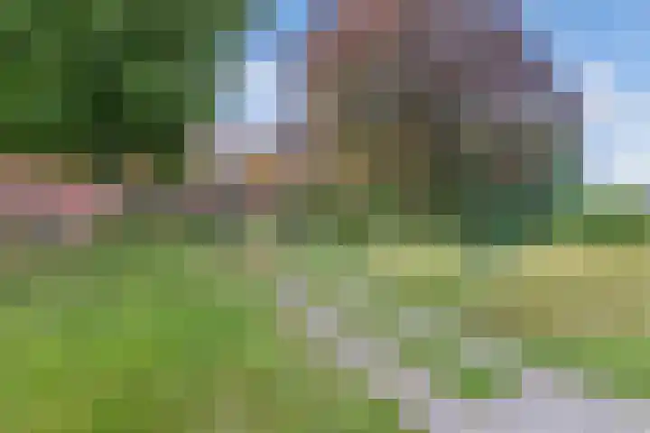 Binnenweg 12 Nijeholtpade thumbnail 47