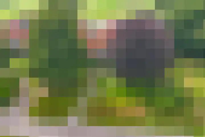 Binnenweg 12 Nijeholtpade thumbnail 48