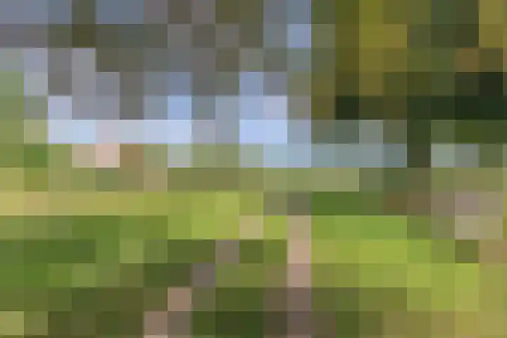Binnenweg 12 Nijeholtpade thumbnail 49