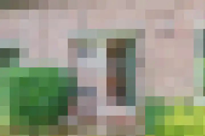 Binnenweg 12 Nijeholtpade thumbnail 5