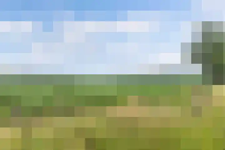 Binnenweg 12 Nijeholtpade thumbnail 50