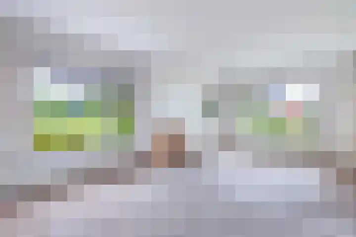Binnenweg 12 Nijeholtpade thumbnail 9