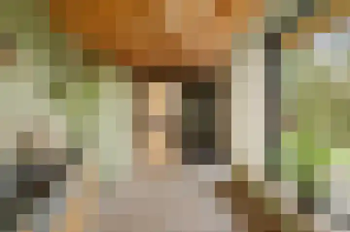 Binnenweg 12 Voorst thumbnail 12