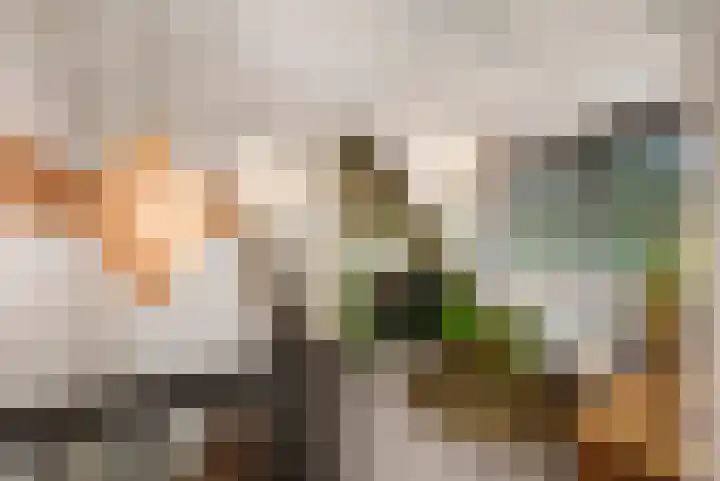 Binnenweg 12 Voorst thumbnail 16
