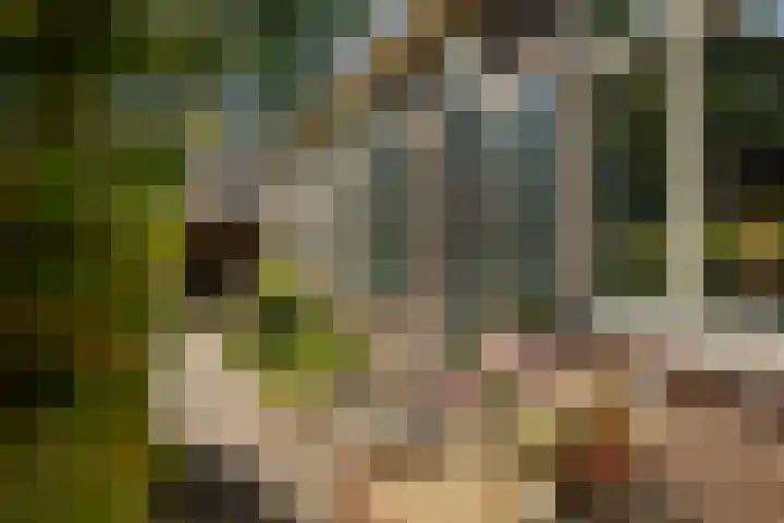 Binnenweg 12 Voorst thumbnail 23