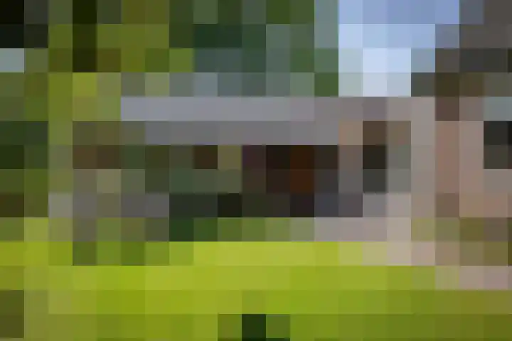 Binnenweg 12 Voorst thumbnail 25