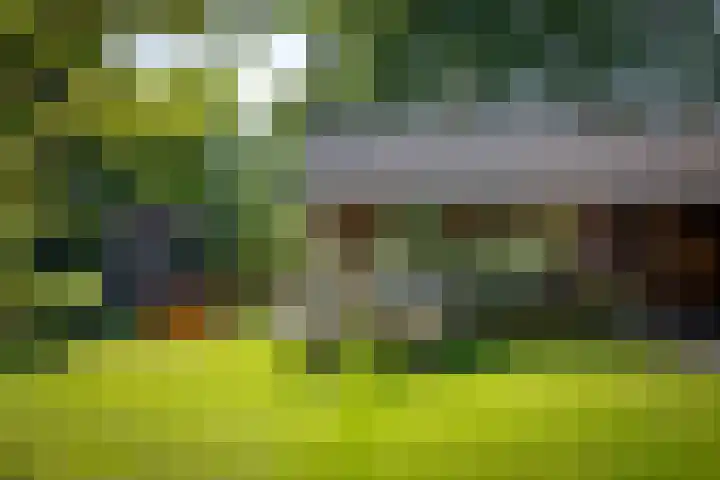 Binnenweg 12 Voorst thumbnail 27