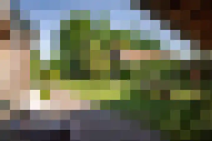 Binnenweg 12 Voorst thumbnail 28