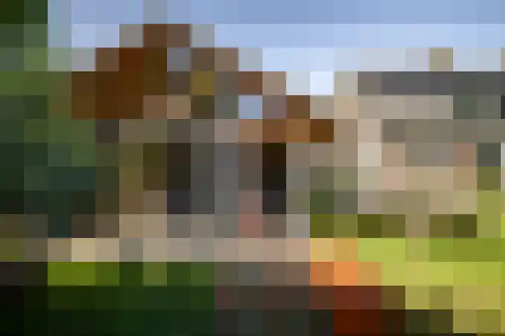 Binnenweg 12 Voorst thumbnail 29