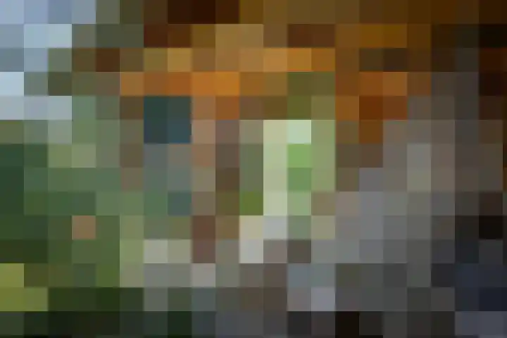 Binnenweg 12 Voorst thumbnail 30