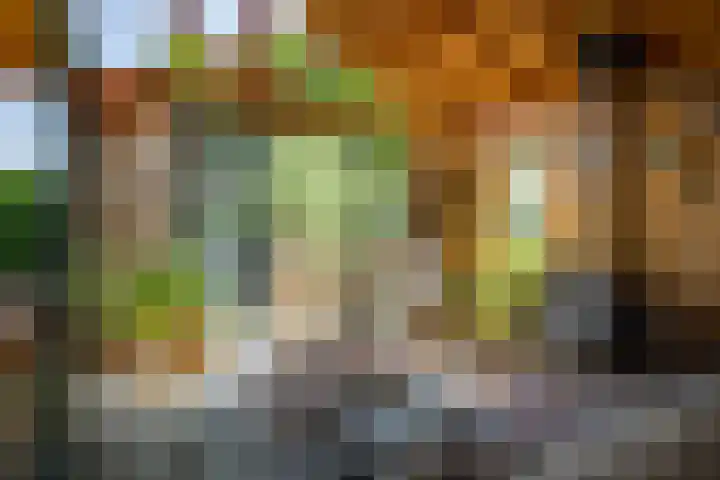 Binnenweg 12 Voorst thumbnail 32