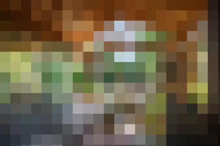 Binnenweg 12 Voorst thumbnail 33