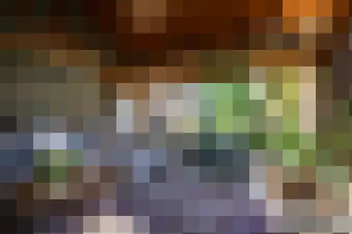Binnenweg 12 Voorst thumbnail 34