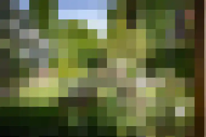 Binnenweg 12 Voorst thumbnail 35