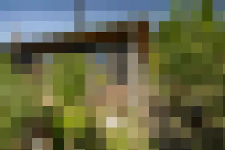 Binnenweg 12 Voorst thumbnail 36