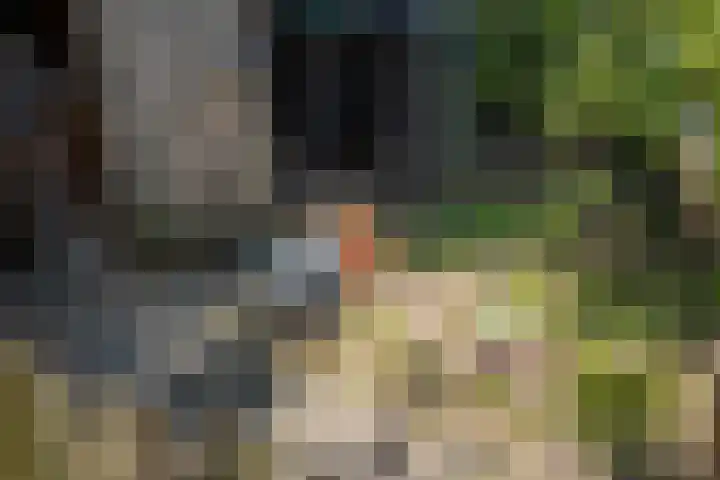 Binnenweg 12 Voorst thumbnail 37