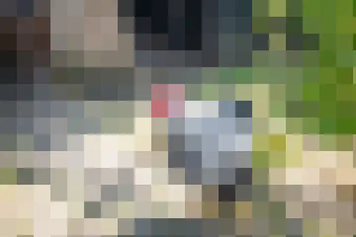 Binnenweg 12 Voorst thumbnail 38