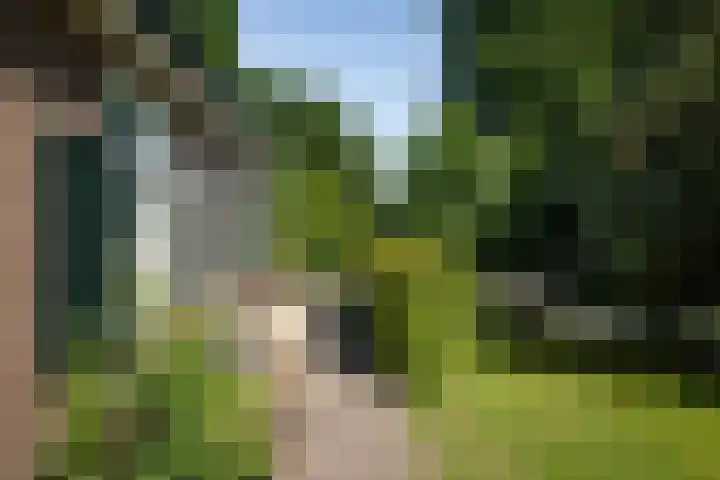 Binnenweg 12 Voorst thumbnail 39