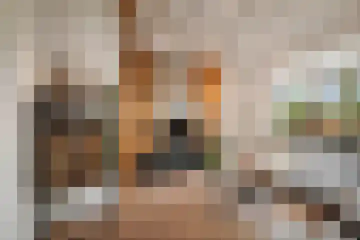 Binnenweg 12 Voorst thumbnail 4