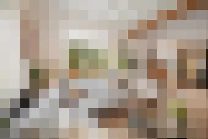 Binnenweg 12 Voorst thumbnail 5