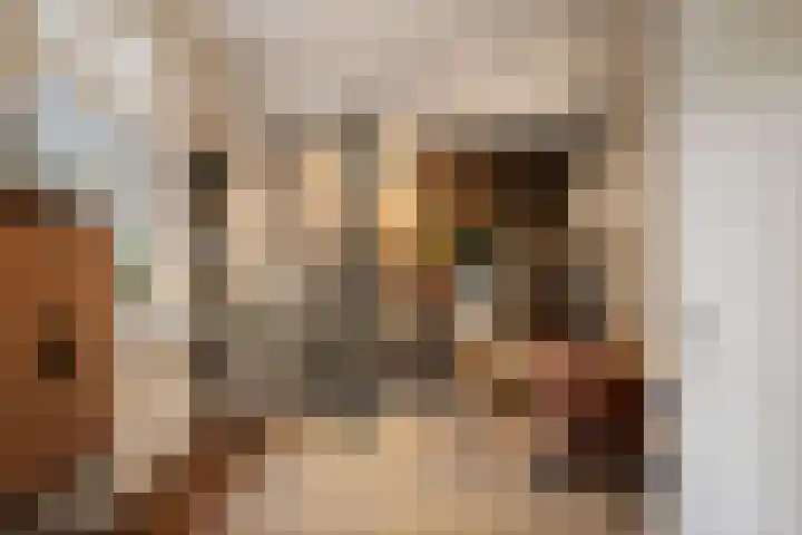Binnenweg 12 Voorst thumbnail 6
