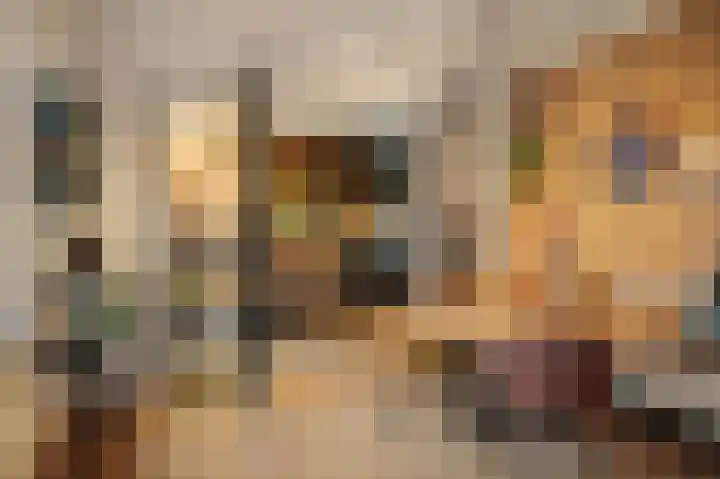 Binnenweg 12 Voorst thumbnail 7