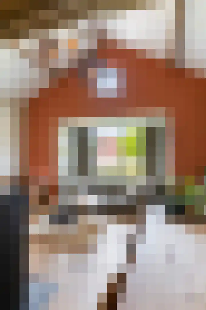 Binnenweg 124 Wilp thumbnail 12