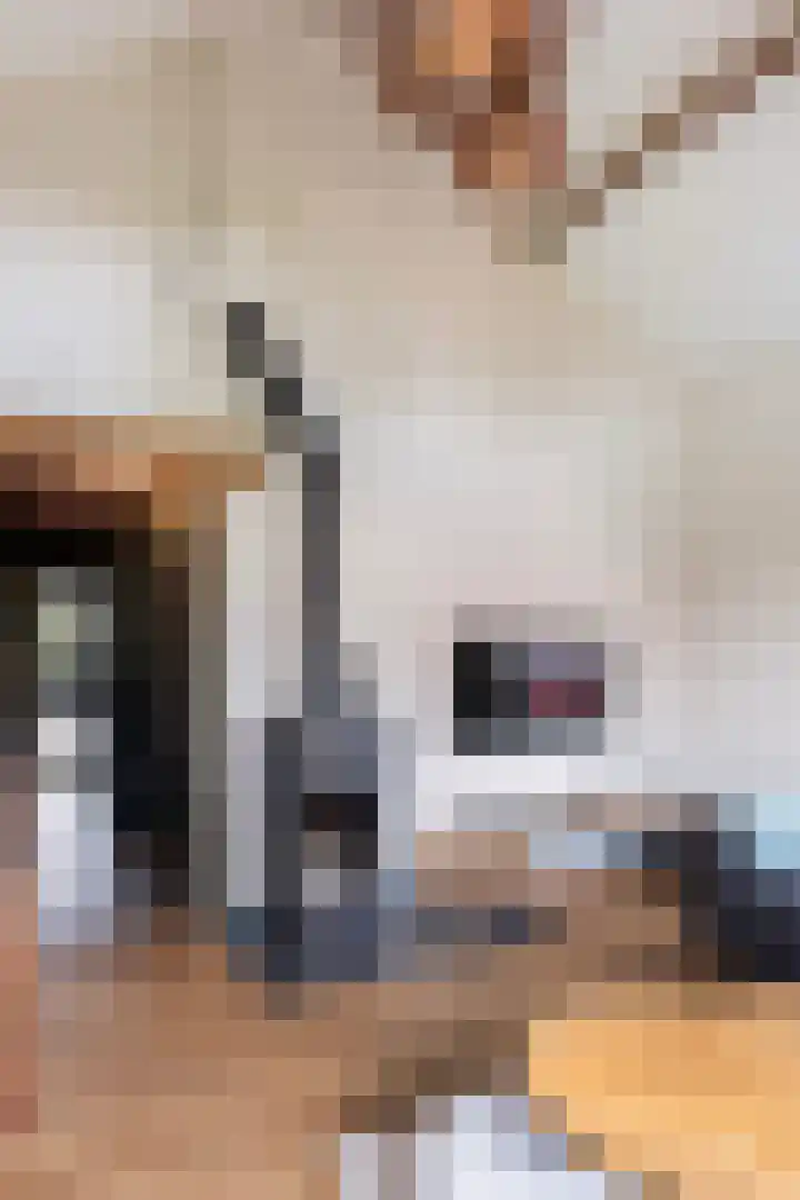 Binnenweg 124 Wilp thumbnail 13