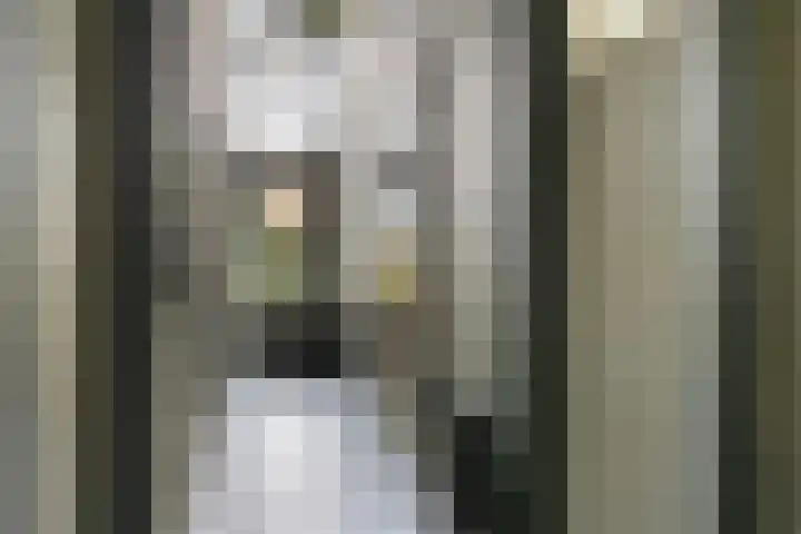 Binnenweg 124 Wilp thumbnail 28