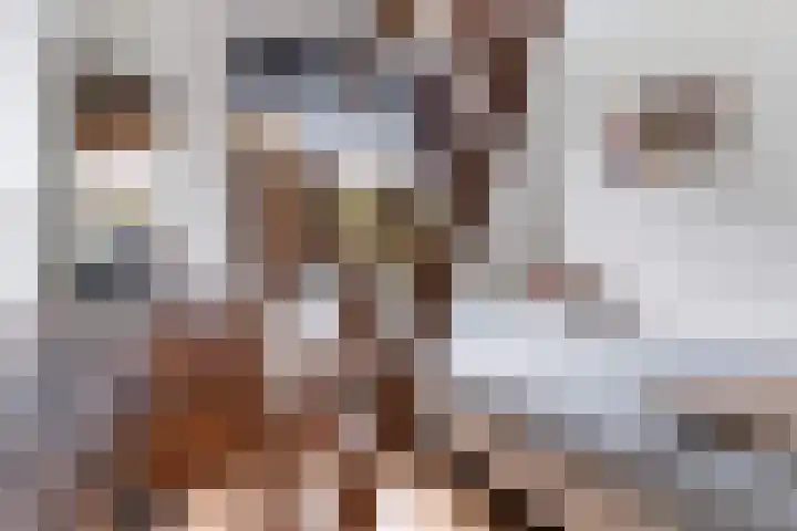 Binnenweg 124 Wilp thumbnail 32