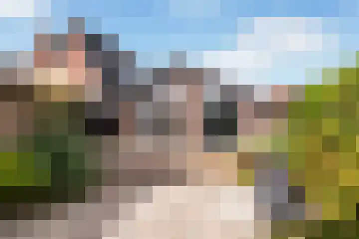 Binnenweg 124 Wilp thumbnail 43