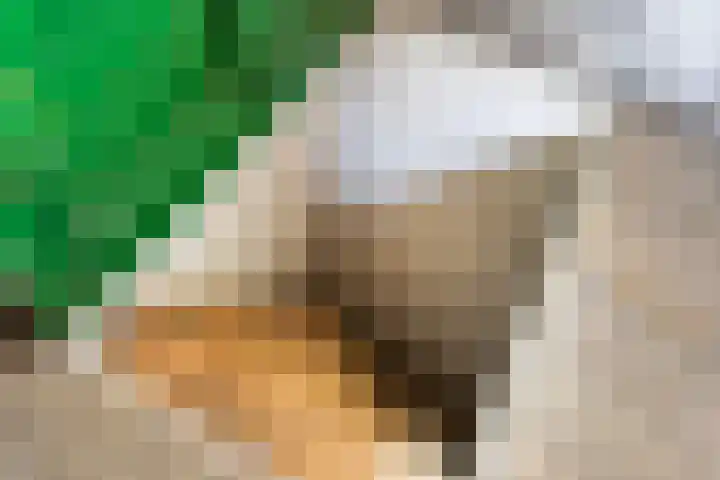Binnenweg 124 Wilp thumbnail 49