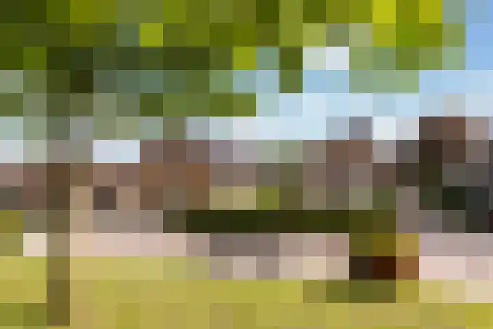 Binnenweg 124 Wilp thumbnail 5