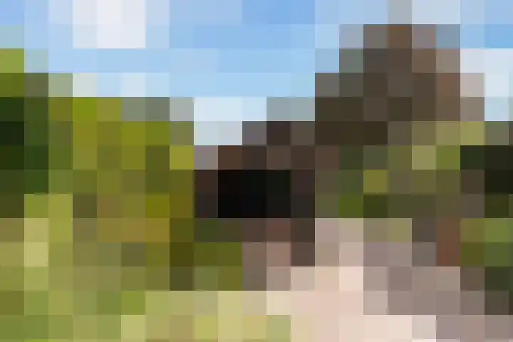 Binnenweg 124 Wilp thumbnail 50