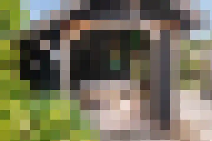Binnenweg 124 Wilp thumbnail 51