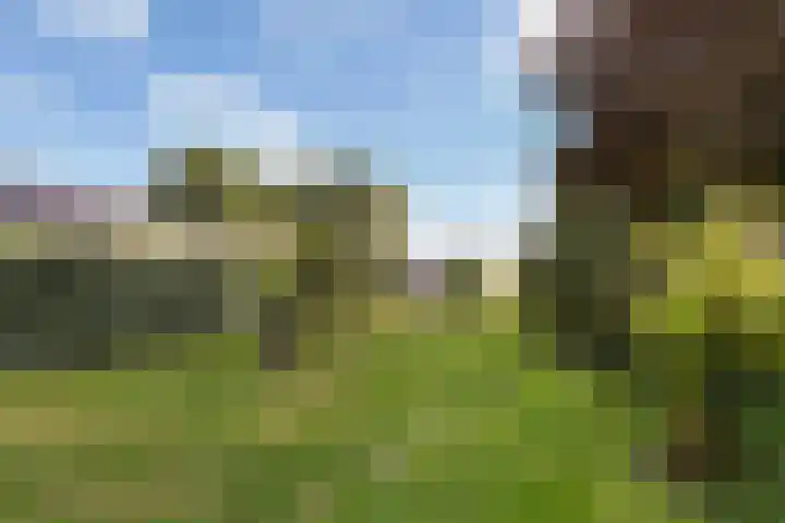 Binnenweg 124 Wilp thumbnail 52