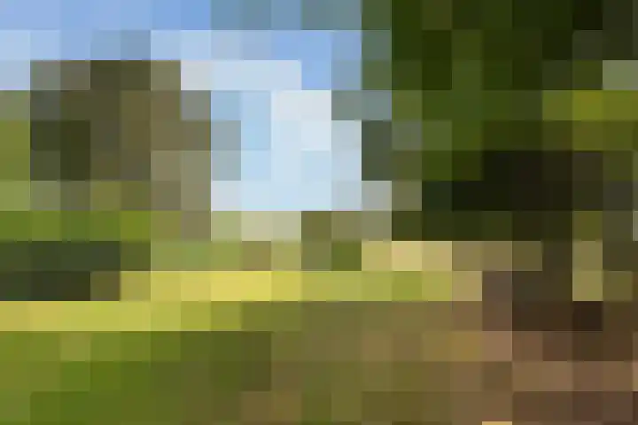 Binnenweg 124 Wilp thumbnail 53